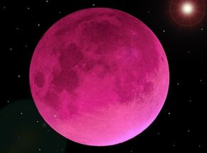 Pink Moon-